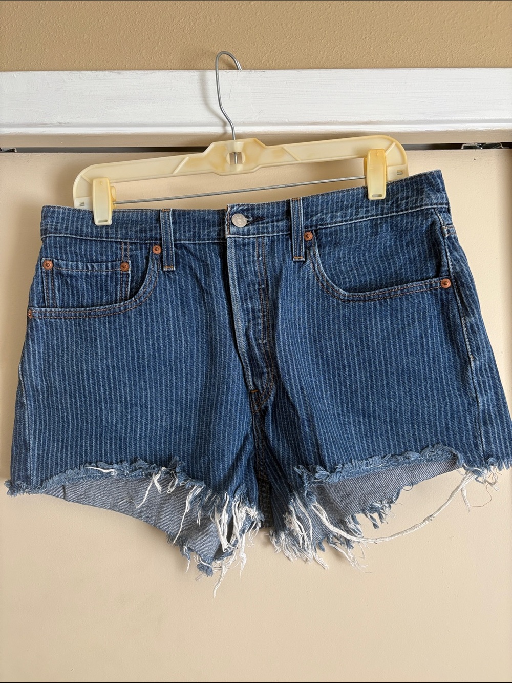 Striped Indigo Frayed Hem Jean Shorts